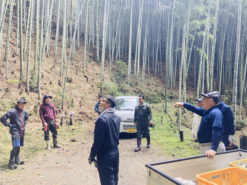 センター九州事業本部　竹林整備で筍掘り